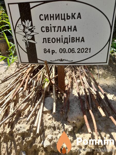 Синицка Свитлана Леонидивна