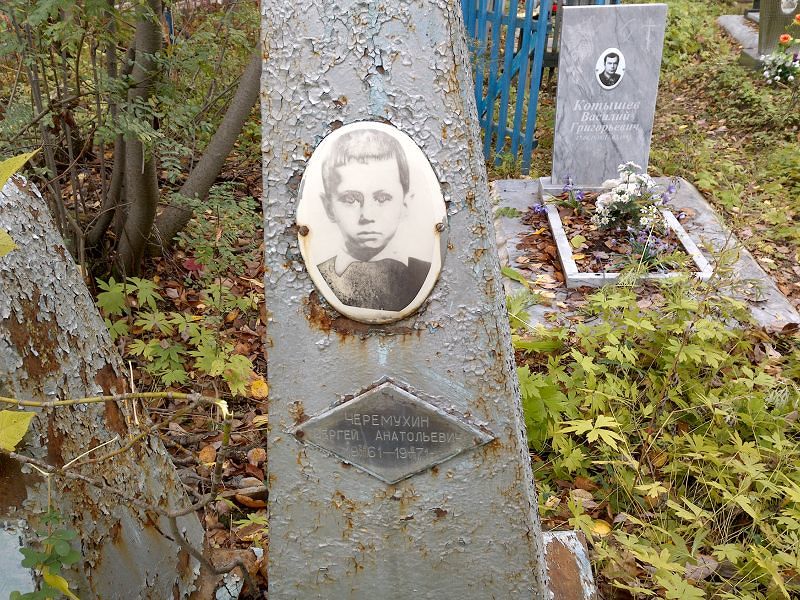 Черемухин