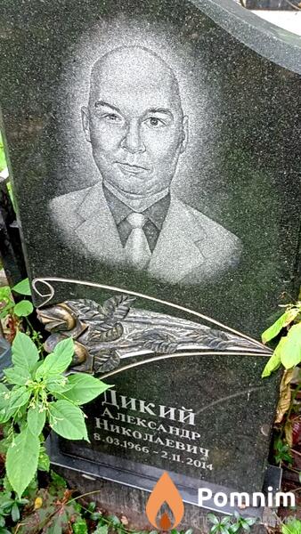 Дикий Александр Николаевич