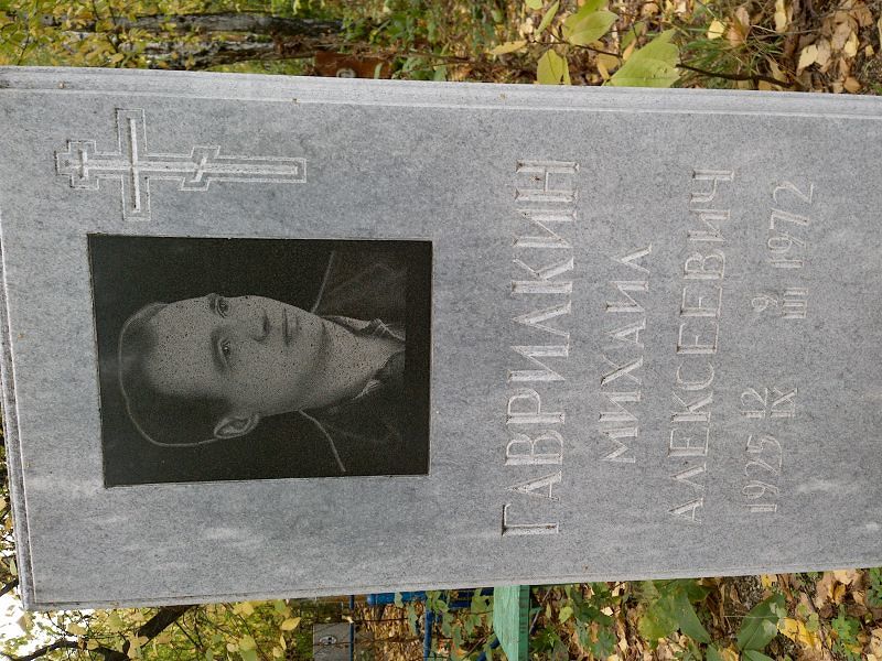 Гаврилкин