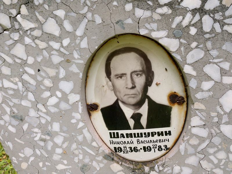 Шамшурин