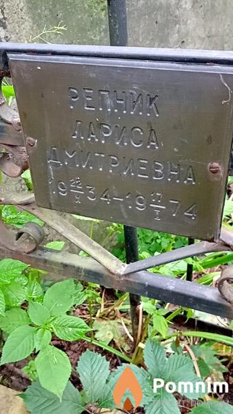 Репник Лариса Дмитриевна