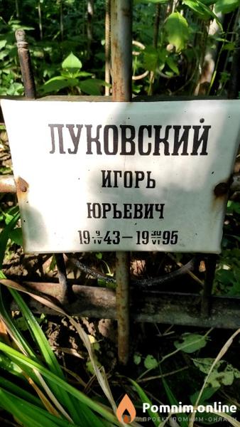 Луковский Игорь Юрьевич