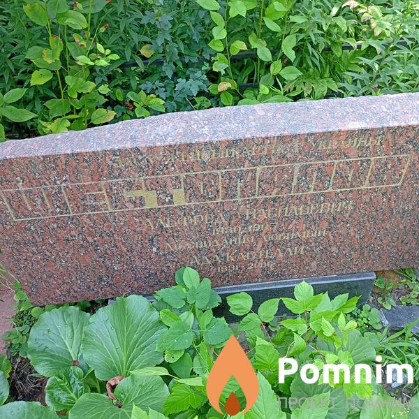 Шестопалов Альфред Васильевич
