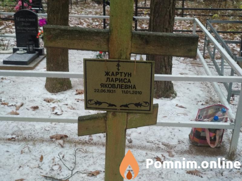 Жартун Лариса Яковлевна