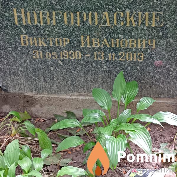Новгородский Виктор Иванович