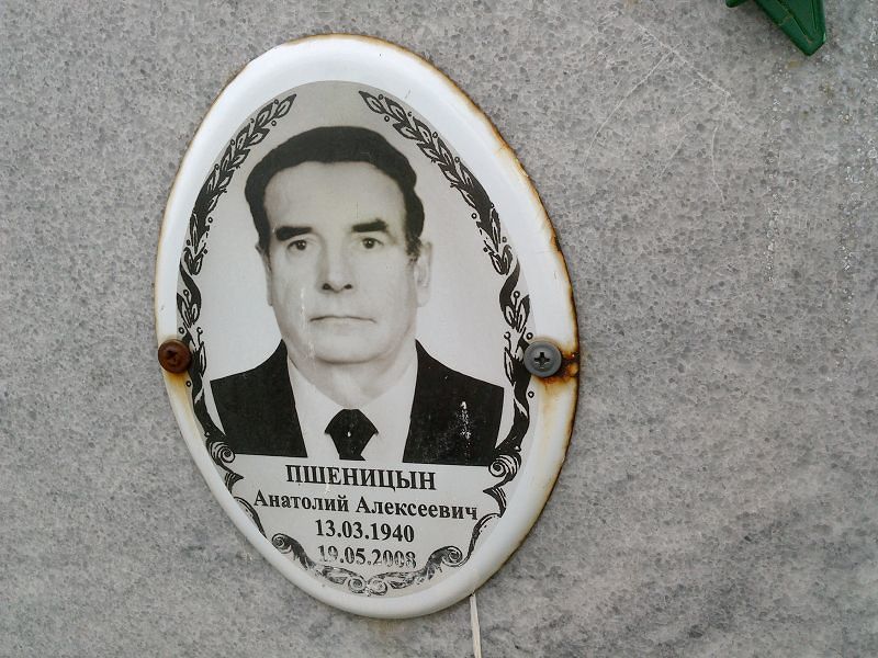 Пшеницын