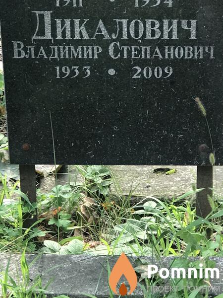 Дикалович Владимир Степанович