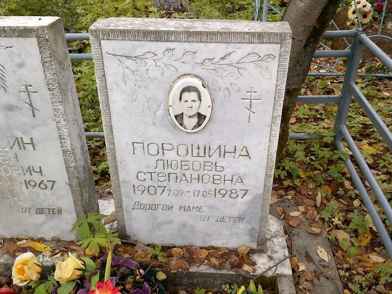 Порошина