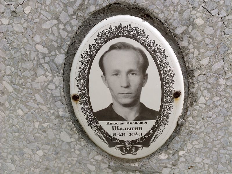 Шалыгин