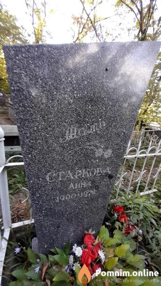 Старкова Анна