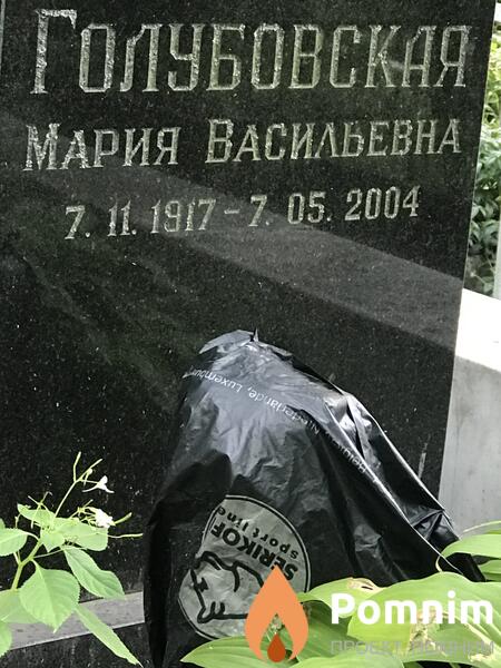 Голуюовская Мария Васильевна