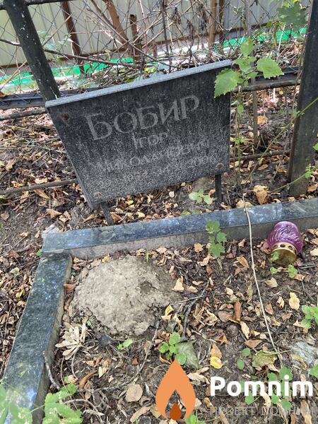 Бобир Ігор Миколайович