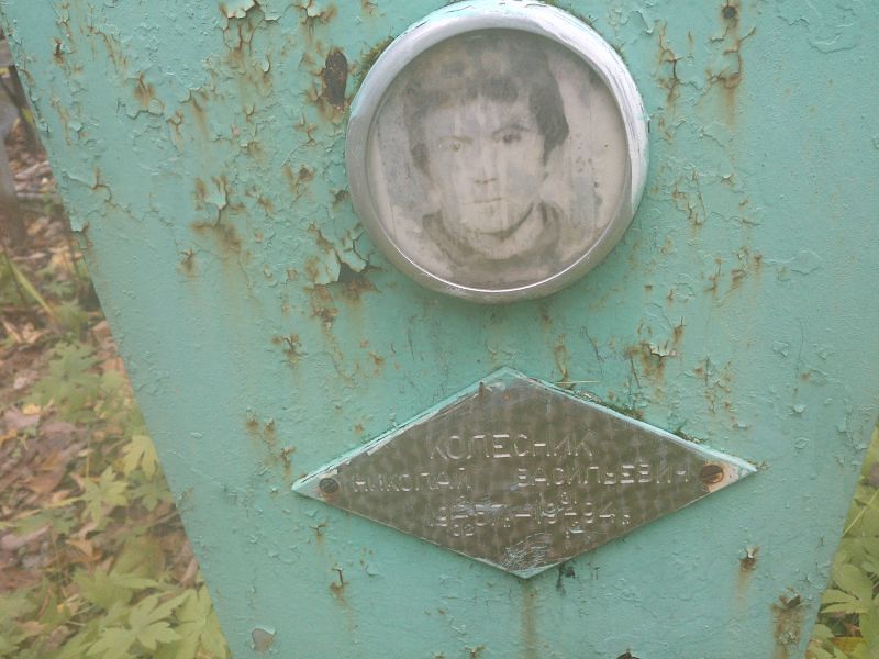 Колесник
