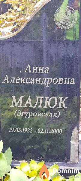 Малюк Анна Александровна