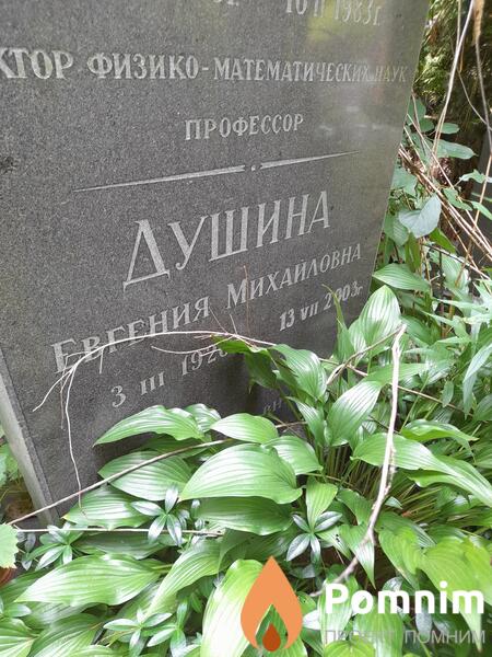 Душина Евгения Михайловна