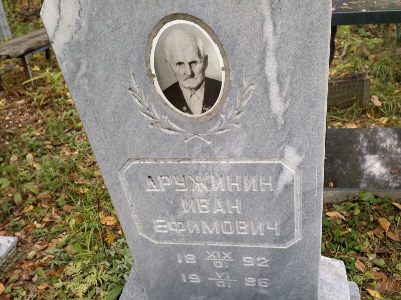 Дружинин