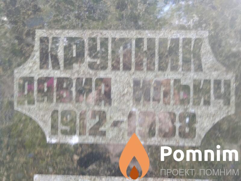Крупник Давид Ильич