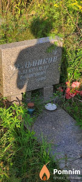 Мельников Александр Борисович