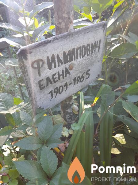 Филипович Елена