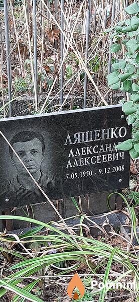 Ляшенко Александр Алексеевич