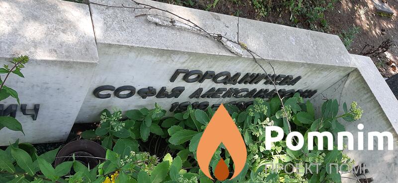 Гогодничева Софья Александровна