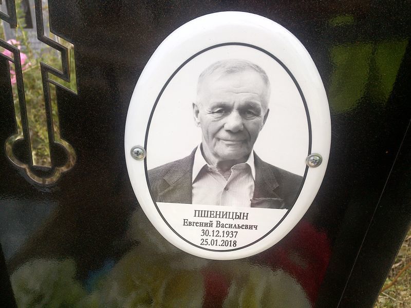 Пшеницын