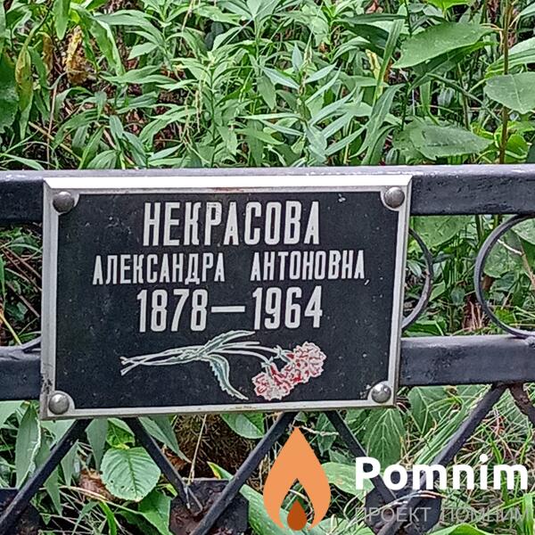 Некрасова Александра Антоновна