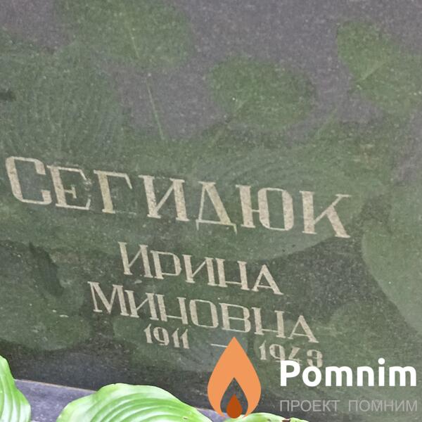Сегидюк Ирина Миновна