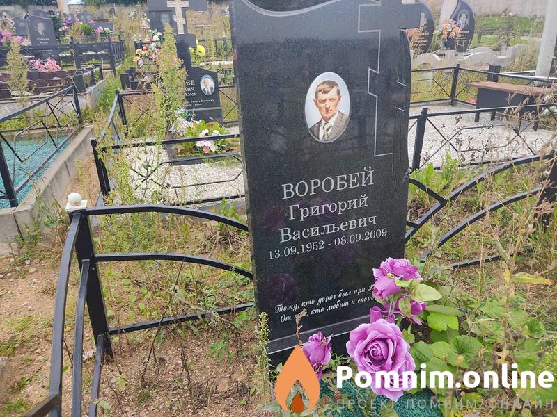 Воробей Григорий Васильевич