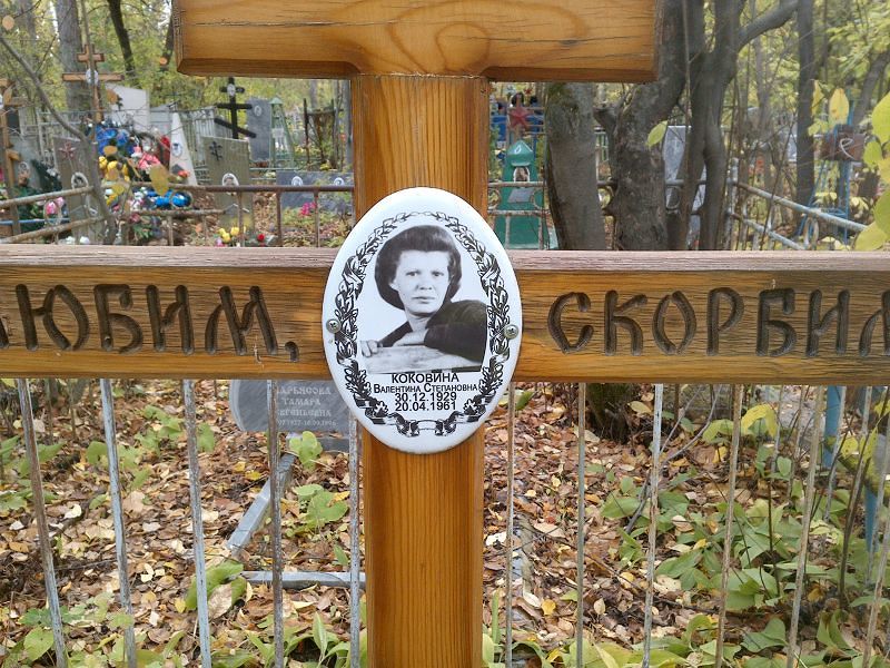 Коковина