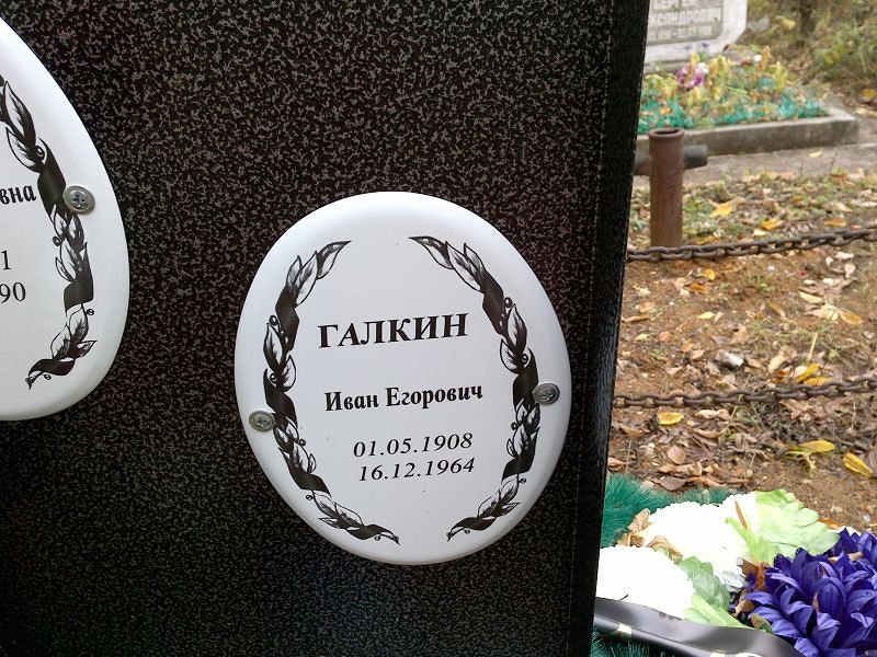 Галкин
