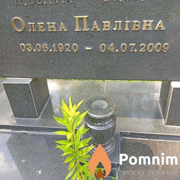 Удовинченко Олена Павловна