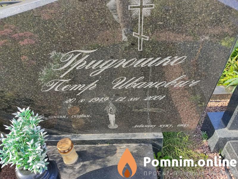 Гридюшко Инесса Степановна