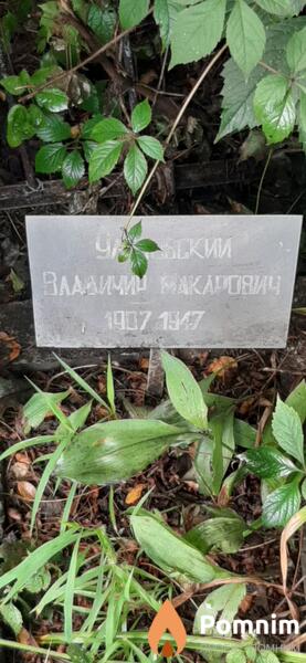 Улазевский Владимир Макарович