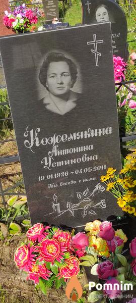 Кожемякина Антонина Устиновна