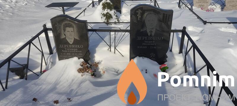Деревяко Андрей Иванович