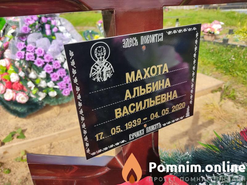 Махота Альбина Васильевна