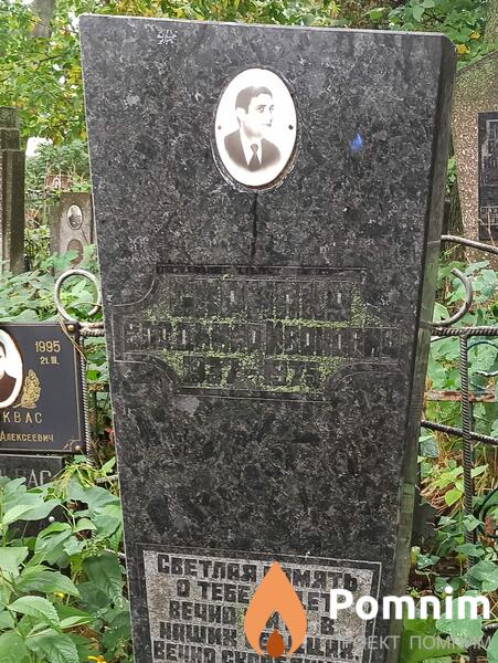 Скрипка Владимир Иванович