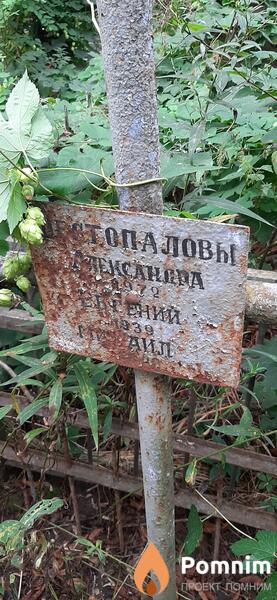 Шестопалова Александра