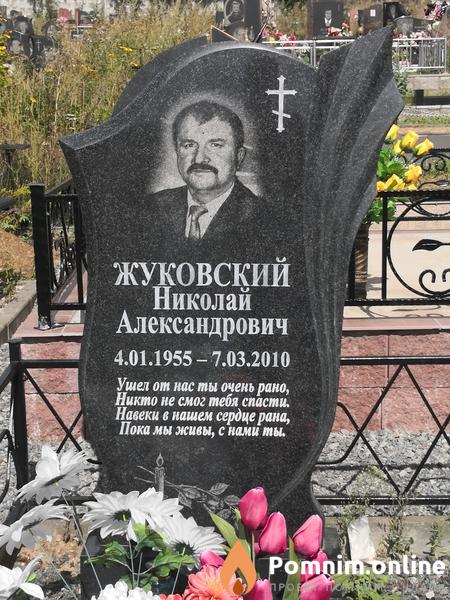 Жуковский Николай Александрович
