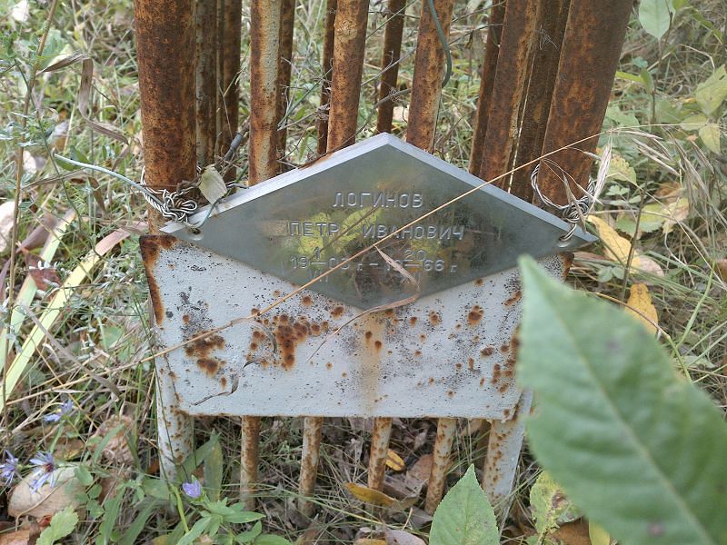 Логинов