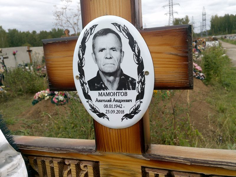 Мамонтов