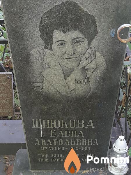 Шнюкова Еленк Анатольевна