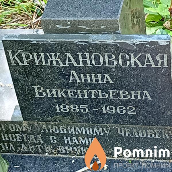 Крижановская Анна Викентьевна