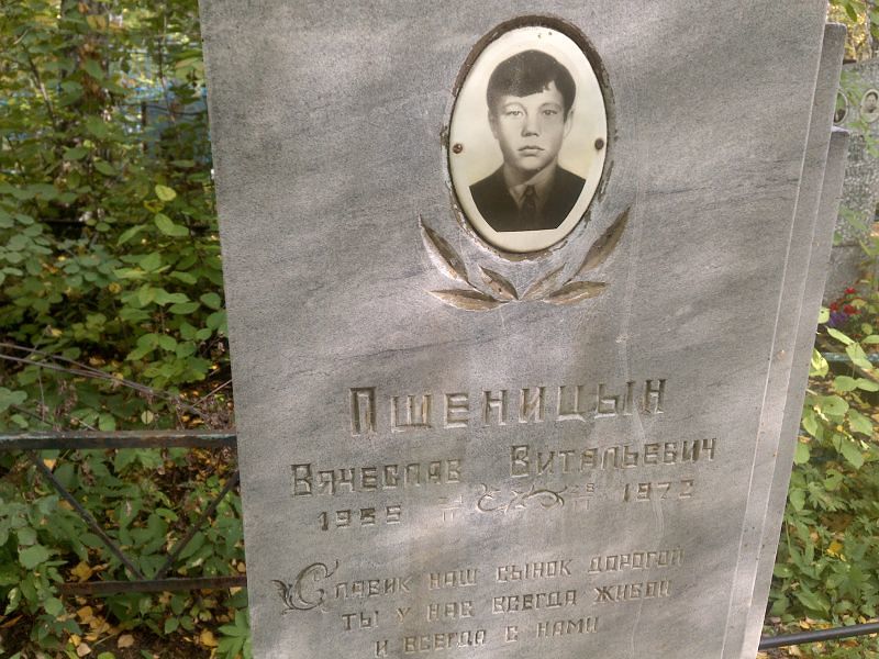 Пшеницын