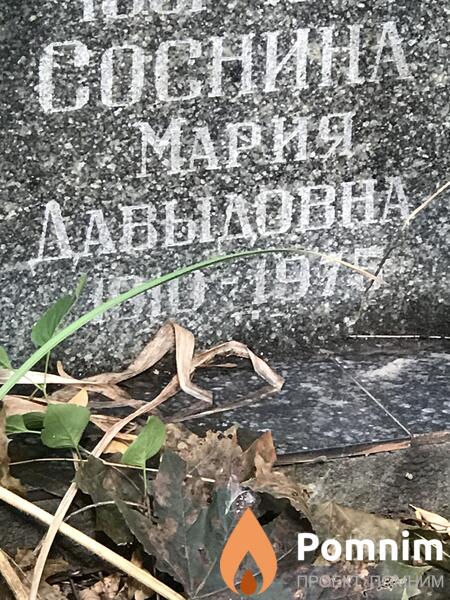 Соснина Мария Давыдовна