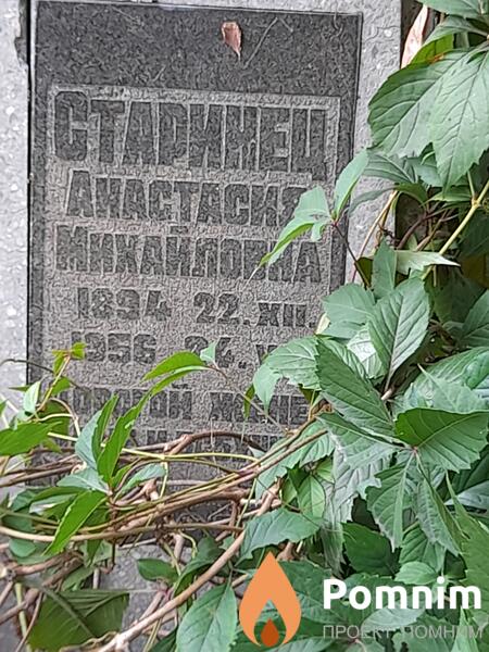 Старинец Анастасия Михайловна