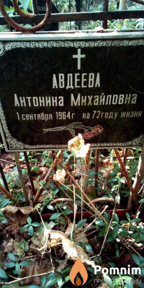 Авдеева Антонина Михайловна