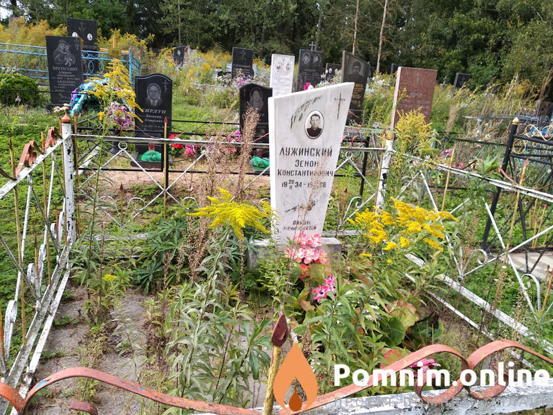 Лужинский Зенон Константинович